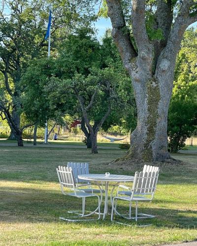 two chairs and a table in a park with a tree at Pensionat Haga Öland in Löttorp