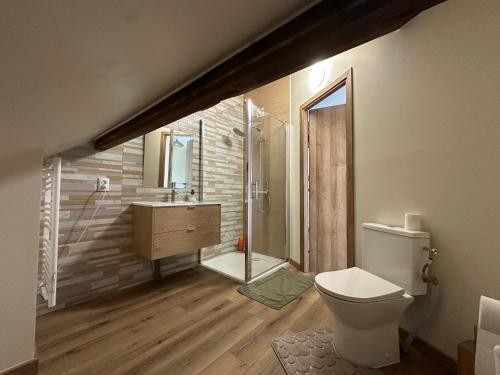 a bathroom with a toilet and a shower and a sink at La maison des amis in Beauvais