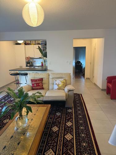 Appartement Confort centre ville Saint-Louis Accès Bâle et Allemagne