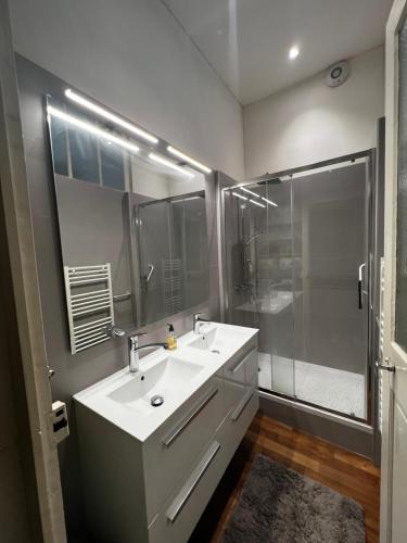 une salle de bain avec un lavabo et une douche dans l'établissement Appartement Lafayette, au cœur du quartier Decré, à Nantes