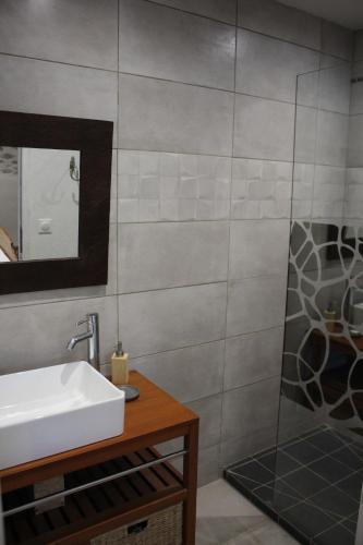 a bathroom with a sink and a mirror at Grange KANDERATZEA in Tardets-Sorholus