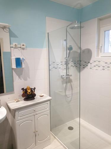 une salle de bain avec une douche avec une porte vitrée dans l'établissement Une petite campagne en ville, au Mans