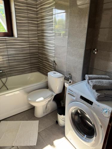 a bathroom with a toilet and a washing machine at Stan na dan Vrdnik in Vrdnik