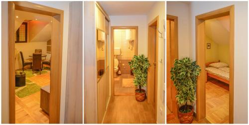 two pictures of a room with two potted plants at Apartments Josipovic in Zlatibor