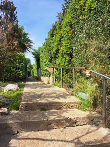 a stone path with a fence and some trees at Residenza Ponente in Stintino