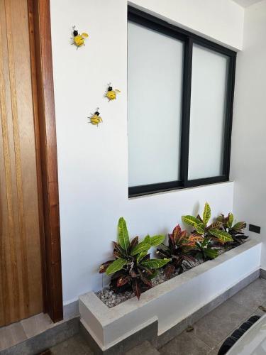 a room with a window with a bunch of bees on the wall at Casa Abejas in Culiacán