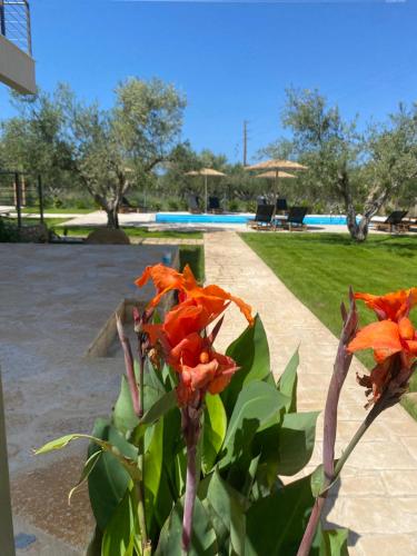 a plant with orange flowers in a park at Three Charites Resort in Gialova