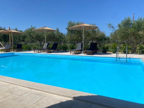 a large blue swimming pool with chairs and umbrellas at Three Charites Resort in Gialova
