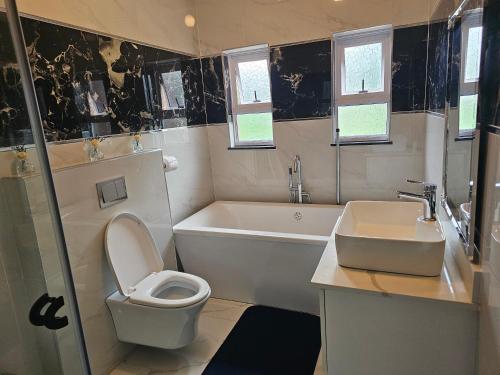 Bluejay Lodge tesisinde bir banyo