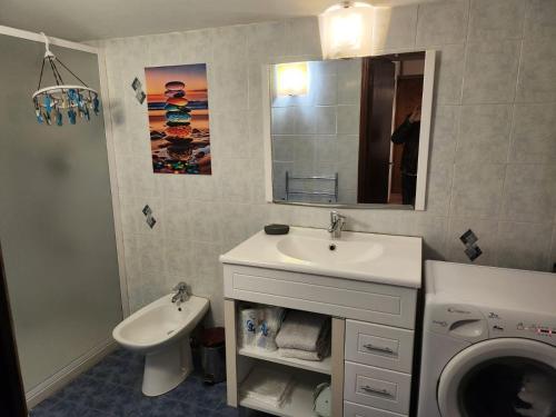 une salle de bain avec un lavabo et une machine à laver dans l'établissement Deux pièces tout confort Monacia d'Aullène, à Monacia-dʼAullène