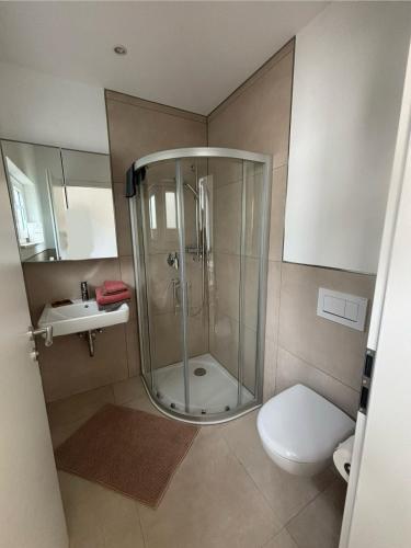 a bathroom with a shower and a toilet and a sink at Felsenblick in Pforzheim