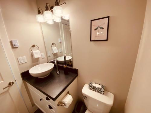 a bathroom with a sink and a toilet and a mirror at Haven On The Hill in Port Renfrew