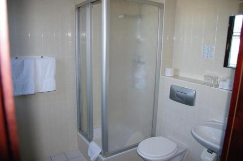 un bagno con doccia, wc e lavandino di Landhotel Goldener Löwe mit Pension Am Taurastein a Burgstaedt