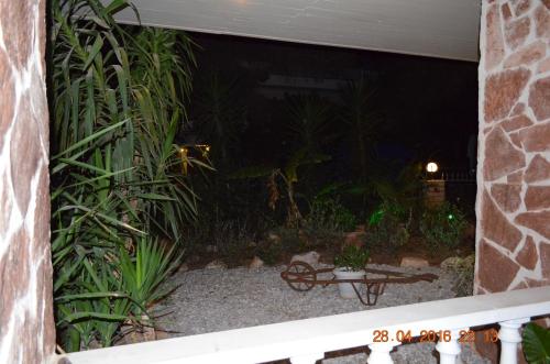 a night time view of a garden with plants at Apartments Zoumperi in Nea Makri