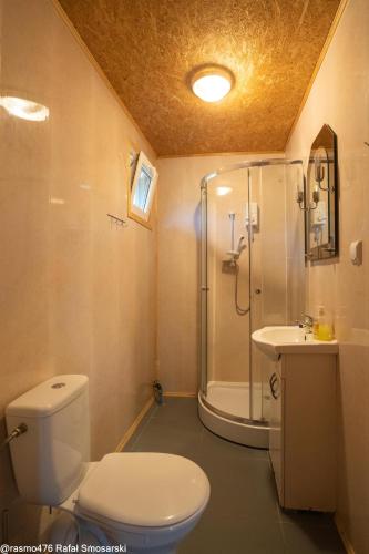 a bathroom with a shower and a toilet and a sink at Eurostruś - zoo, domki in Borzychy
