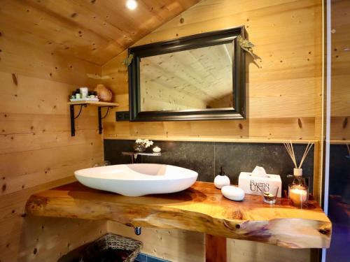 a bathroom with a large bowl sink on a wooden counter at La Linotte in Arville