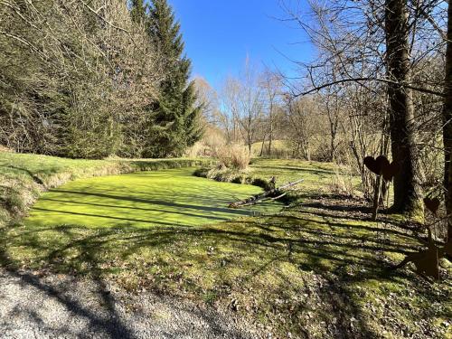 a green field with trees and shadows on the grass at La Linotte in Arville
