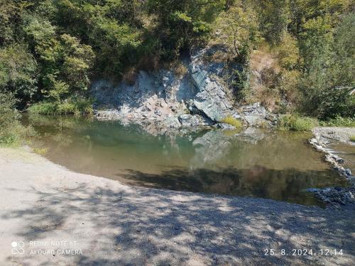 a body of water next to a hill with trees at Domaćinstvo Radivojević in Kraljevo