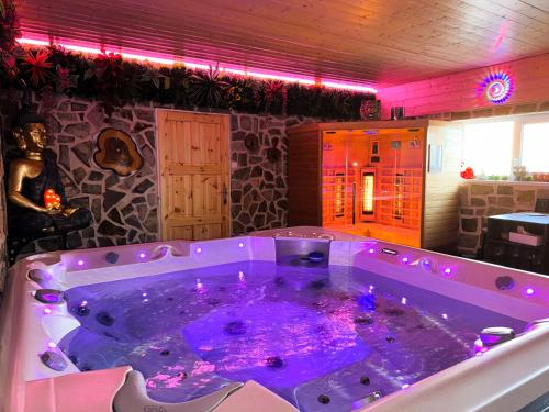 a jacuzzi tub with purple lighting in a room at Wellness Apartment Medusa in Hamr na Jezeře