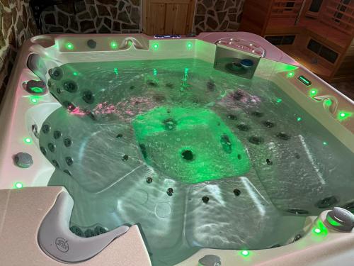 a bath tub with a teddy bear in it at Wellness Apartment Medusa in Hamr na Jezeře