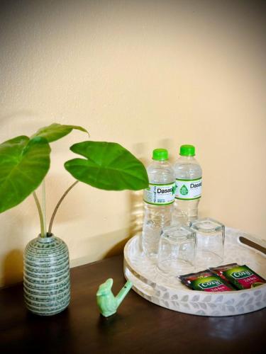 a table with bottles of water and a potted plant at Amazing Ninh Binh Garden in Xuân Sơn