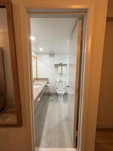 a bathroom with a toilet and a sink at Days Hotel by Wyndham Williamsburg I-64 in Williamsburg
