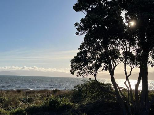 a view of the ocean from a beach with two trees at MKM Villa - Cozy House in Central Lower Hutt in Lower Hutt