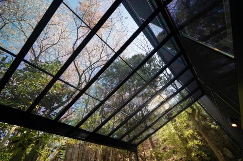 Κήπος έξω από το ヌック箱根強羅 Nook Hakone Gora