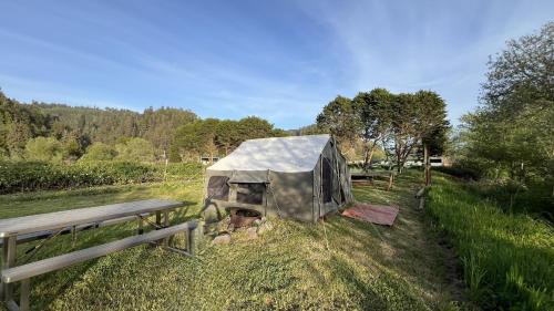 a tent sitting in the grass next to a bench at Vista Glamping Tent in Klamath