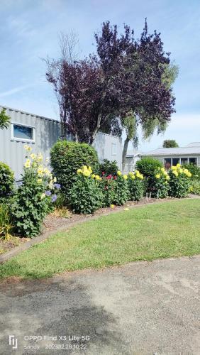 a garden of flowers and a building with a building at The container stay in Appleby