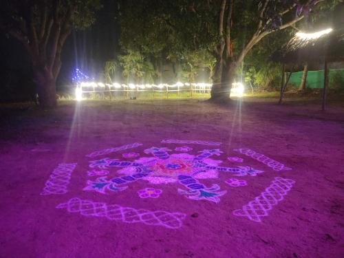 a rangoli in a park at night with lights at Healing Home And Hostel Auroville in Puducherry