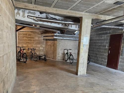 Ποδηλασία στο Appartement lumineux près du centre-ville de Troyes ή στη γύρω περιοχή