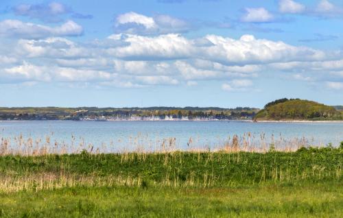 a large body of water with tall grass in a field at Cozy Home In Knebel With Wifi in Knebel