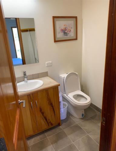 a bathroom with a toilet and a sink and a mirror at Free Bird Lodge in Takaka