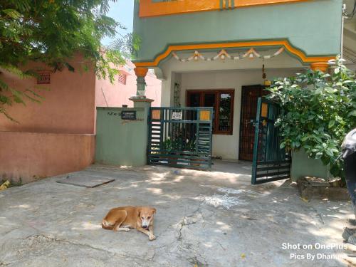 a dog laying on the ground in front of a building at Annamaiah Guest House & Homestay - Tirupati - Home Food Service in Tirupati