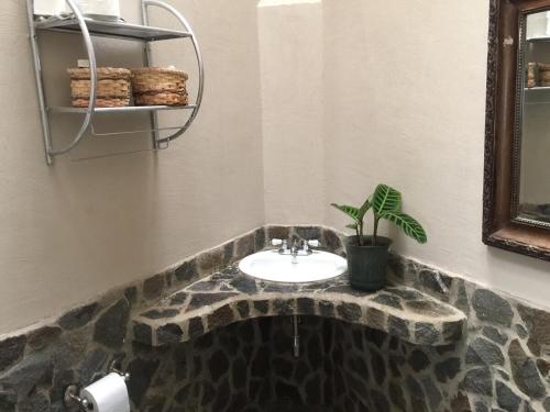 a bathroom with a stone sink with a potted plant at Hacienda las Nubes in Turrialba