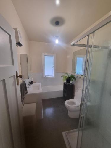 une salle de bain avec toilettes, lavabo et douche dans l'établissement Orira River Cottage, à Umawera