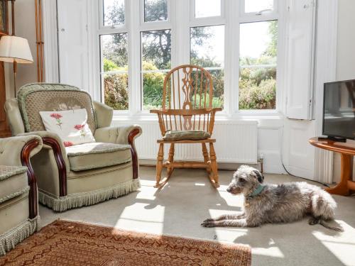 a dog laying on the floor in a living room at The Old Vicarage in Tiverton