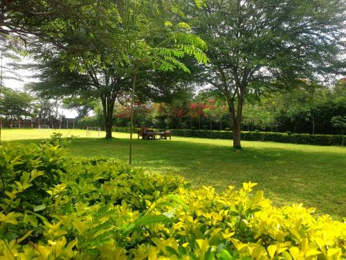 Taman di luar Eden Park Lounge