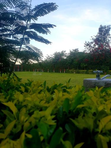 Taman di luar Eden Park Lounge
