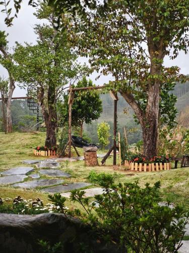 a park with trees and a swing set at Mountain Nest Villa Dalat - BBQ, Cloud Hunting, Camping in Da Lat