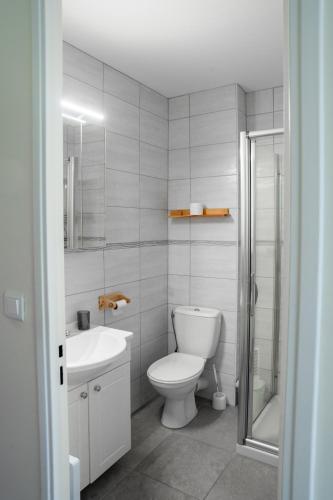 une salle de bain blanche avec des toilettes et un lavabo dans l'établissement Lumineux studio-Gréoux-les-Bains, à Gréoux-les-Bains