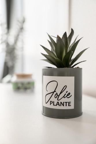 a potted plant sitting on top of a table at Studio élégant et cosy in Manosque
