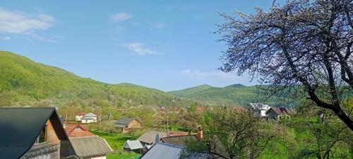a view of a village with mountains in the background at Під горою in Sheshory