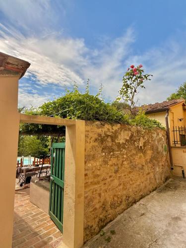 a wall with a green door and a plant at Ciliegia di Lari - Attico in Lari