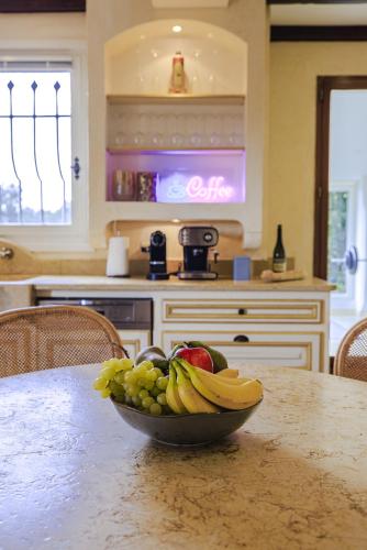 Photo de la galerie de l'établissement Villa l'Oasis - Superbe villa avec vue imprenable sur la mer et le Cap d'Antibes, à Tourrettes-sur-Loup