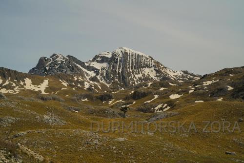 Vista general de una montaña o vista desde la casa vacacional