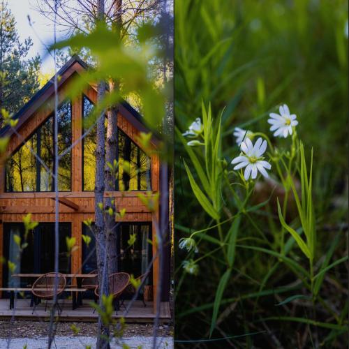 Un jardín fuera de Osada LoveLaski - balia jacuzzi, sauna i kominek - całoroczne domki premium