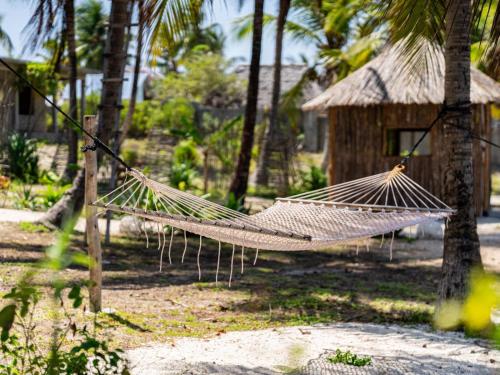 a hammock in a yard with a shack at Shanuo Beach Bungalows in Michamvi