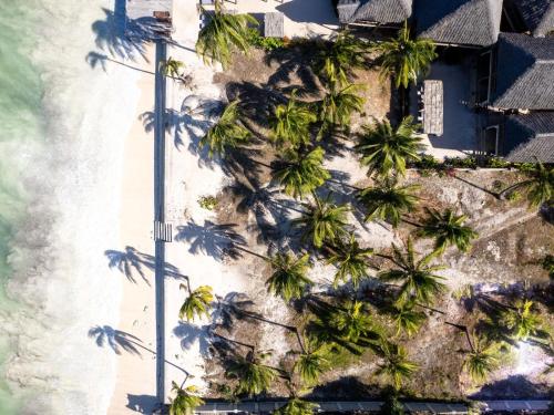 an aerial view of palm trees on a beach at Shanuo Beach Bungalows in Michamvi